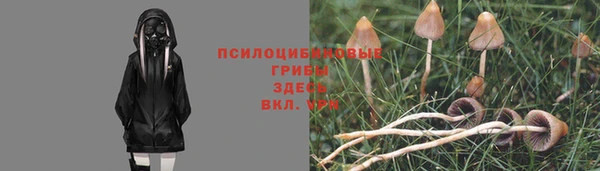 гашик Балахна