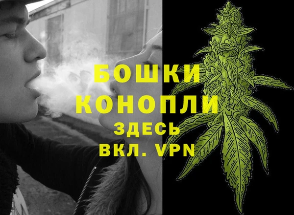 гашик Балахна